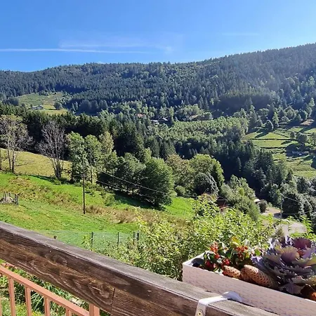 L'orbi, Le Balcon De La Zimette Bed & Breakfast Ventron