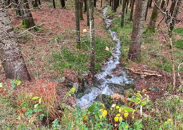 L'orbi, Le Balcon De La Zimette Bed & Breakfast